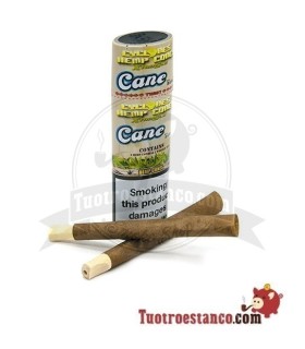 Cône en papier Cyclone chanvre 2u Canne