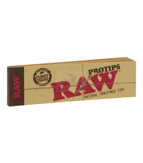 Punte Raw filtri in cartone