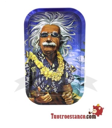Bandeja Metálica de 27x16cm Einstein