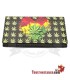 Funda porta tabaco Hibron Bob Marley