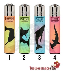 Clipper Under the Sea