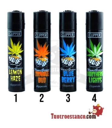 Clipper Alemania Home Grown