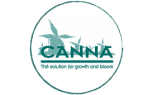 Canna 